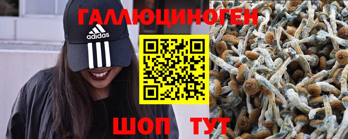 Галлюциногенные грибы мицелий Камышлов
