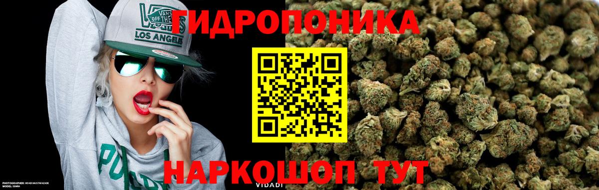 Бошки Шишки семена Камышлов